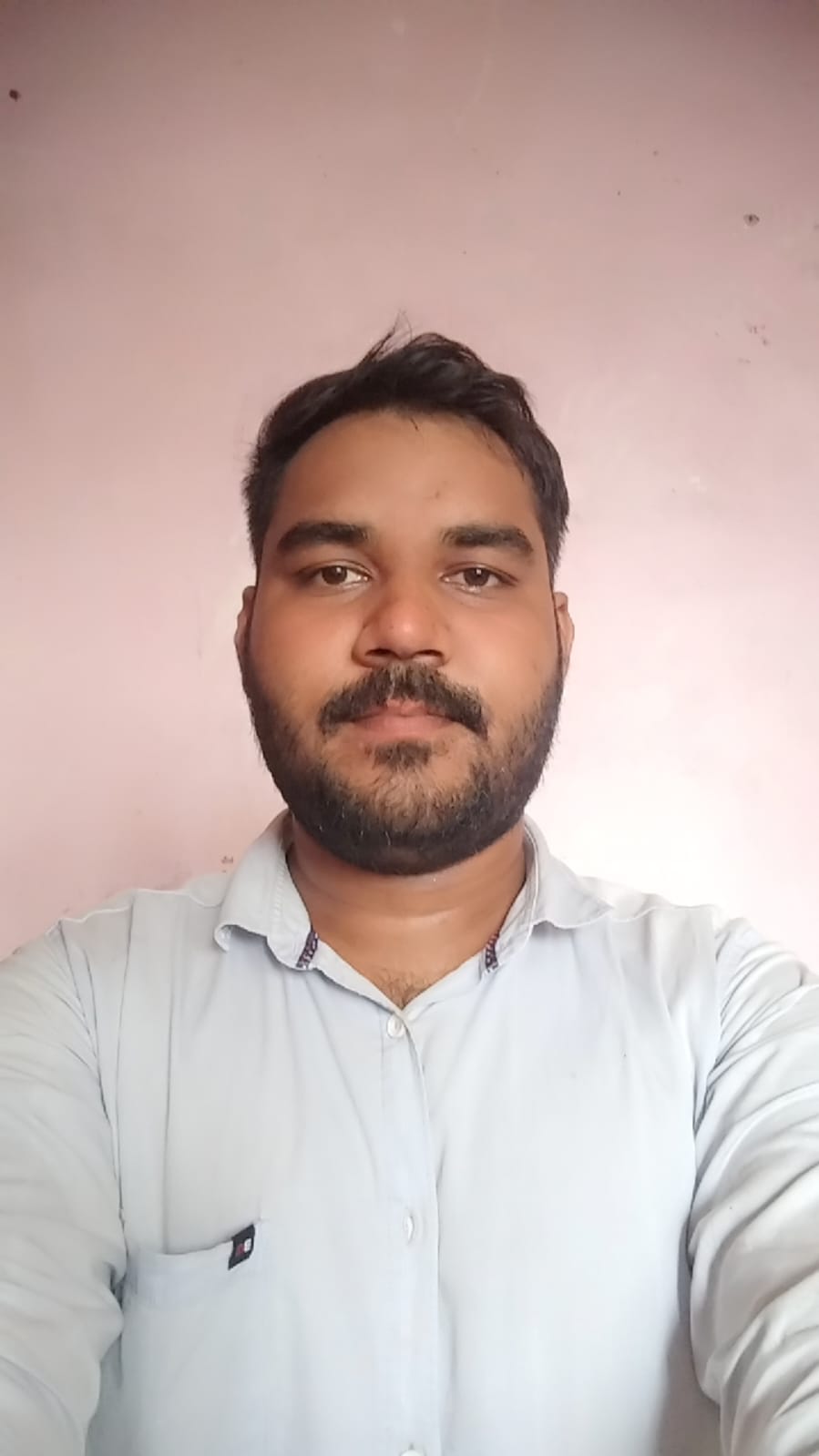 Ankit Rana - Data Analyst (Power BI Developer) | SGR Software Solution
